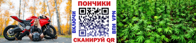 Продажа наркотиков Дальнегорск Марихуана  Галлюциногенные грибы  МЕФ  А ПВП  АМФ 