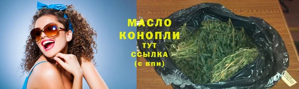 спиды Богородицк