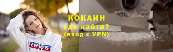 амф Новозыбков