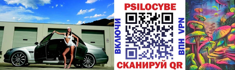 Псилоцибиновые грибы Psilocybine cubensis  Дальнегорск 