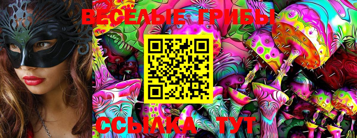 Псилоцибиновые грибы Psilocybe Дальнегорск