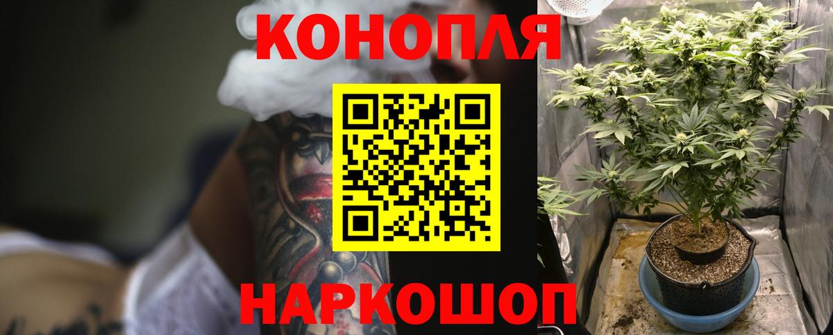 Бошки марихуана план  Каннабис OG Kush  Вход с VPN  Дальнегорск  Конопля конопля 
